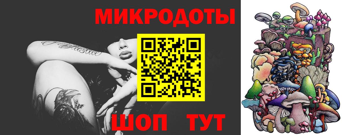 Галлюциногенные грибы Psilocybe  Вход с VPN  Сочи  Псилоцибиновые грибы мухоморы 